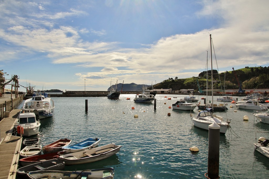 Foto: Puerto - Bermeo (Vizcaya), España