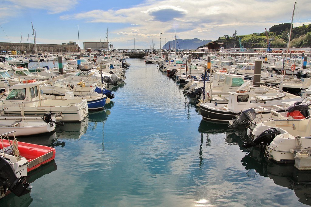 Foto: Puerto - Bermeo (Vizcaya), España