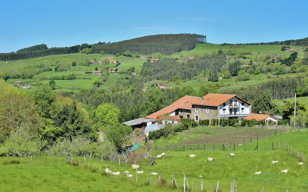 Foto: Paisaje - Plentzia (Vizcaya), España