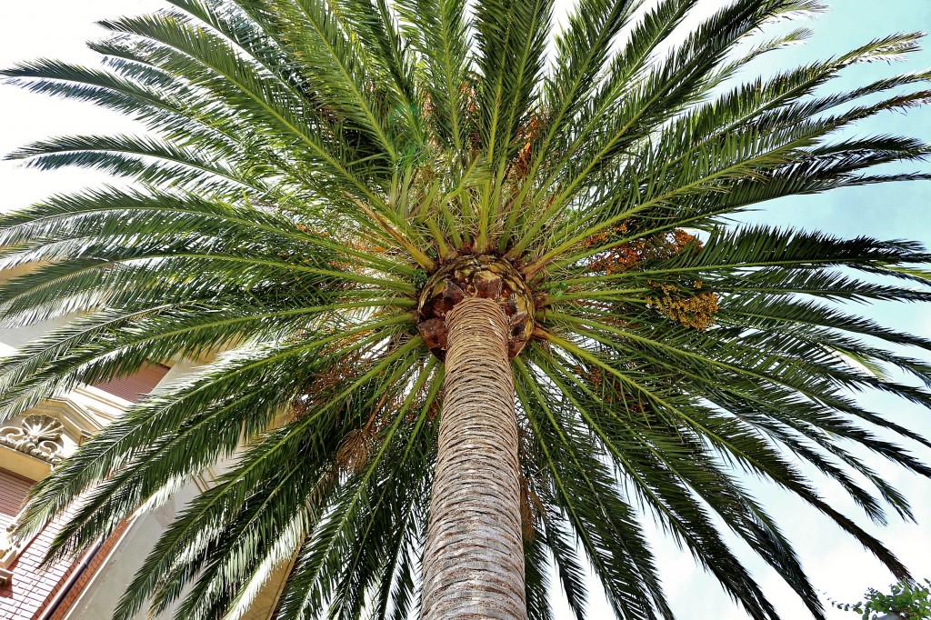 Foto: Centro histórico - Mundaka (Vizcaya), España