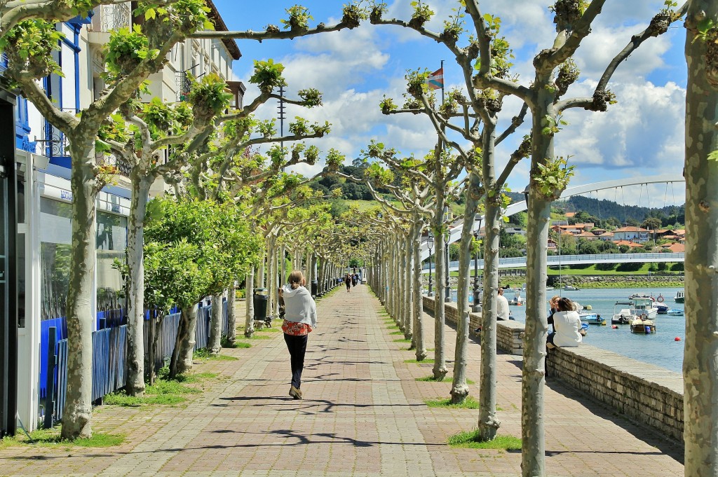 Foto: Centro histórico - Plentzia (Vizcaya), España