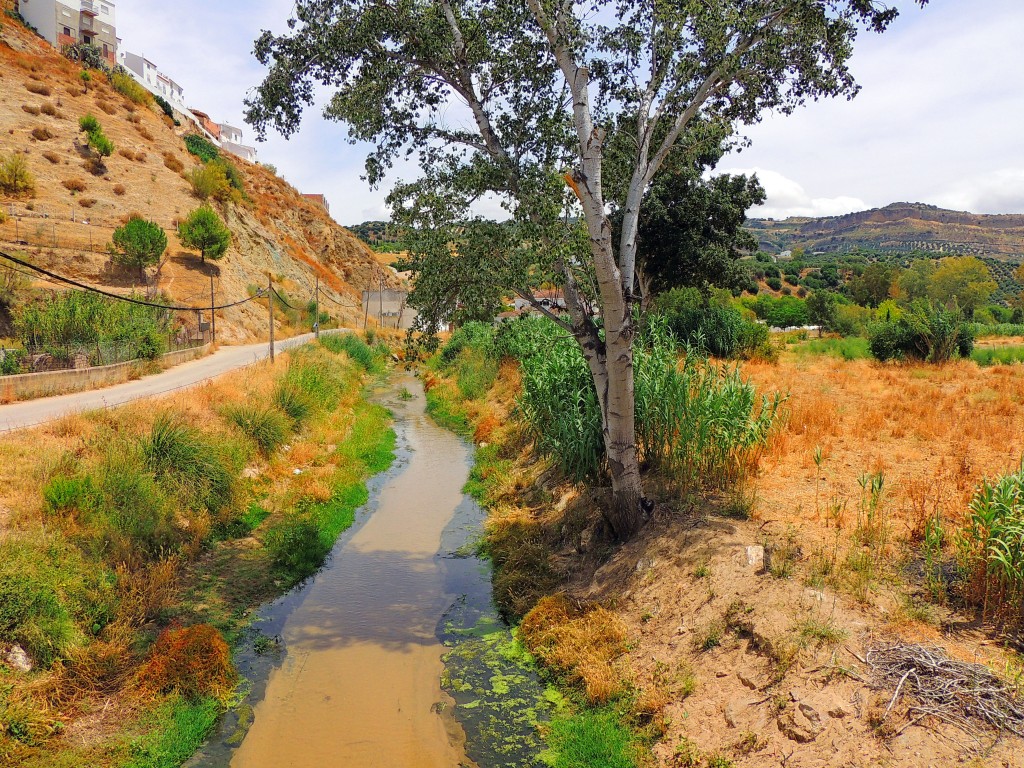 Foto: Calle Arenal - Torre Alhaquime (Cádiz), España
