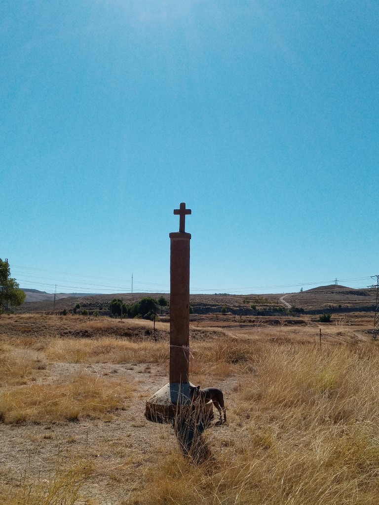 Foto: Ostariz - Calatayud (Zaragoza), España