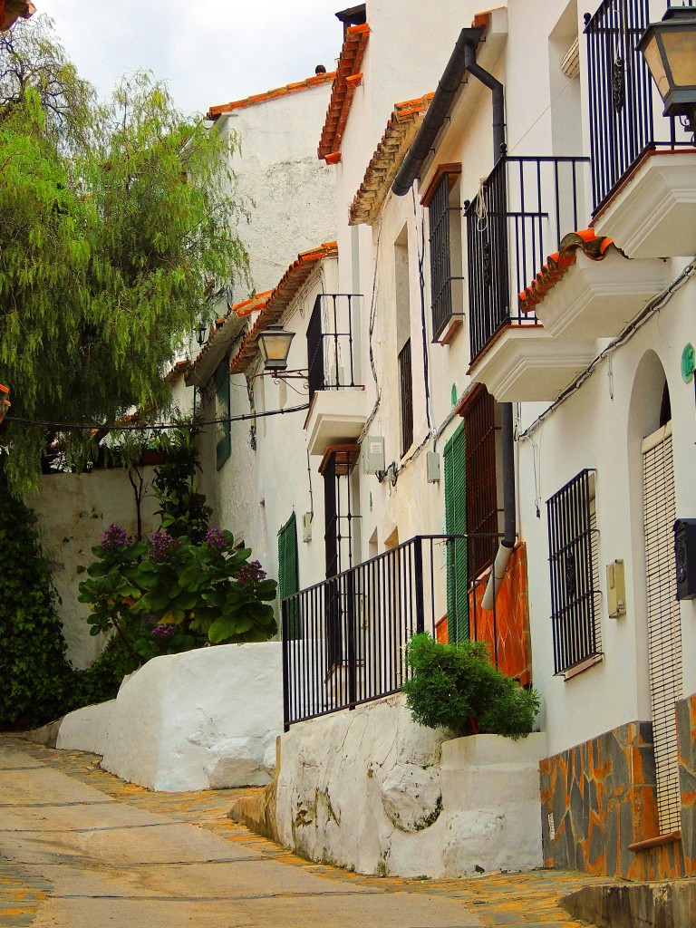 Foto: Calle Alta - Gaucín (Málaga), España