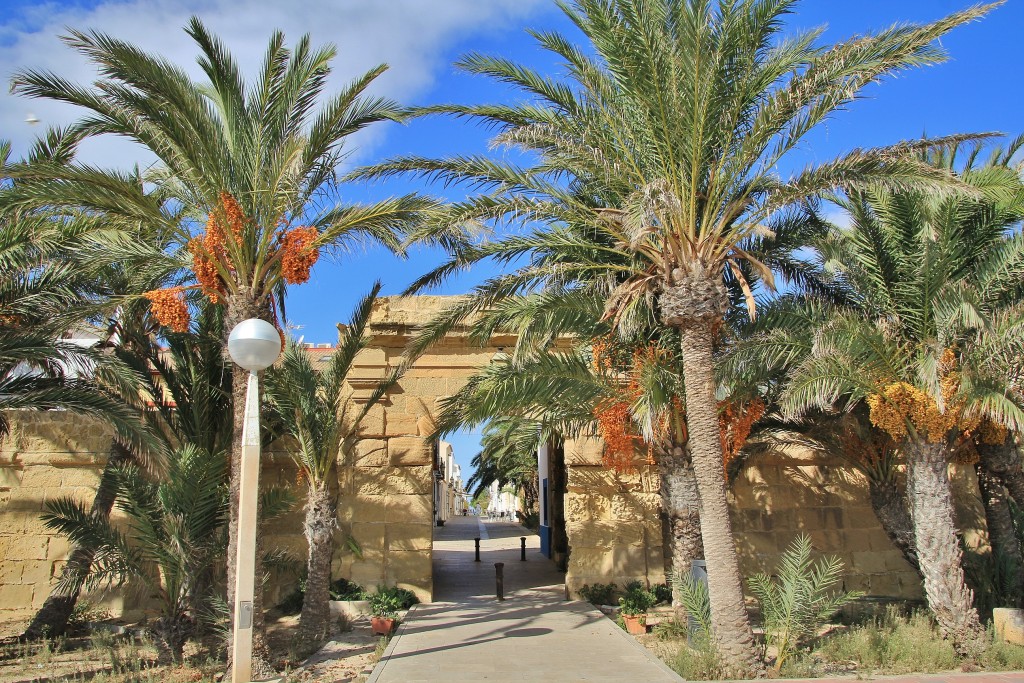 Foto: Vista de la Isla - Tabarca (Alicante), España