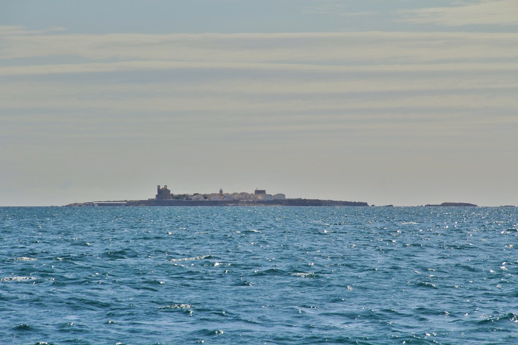 Foto: Navegando - Tabarca (Alicante), España