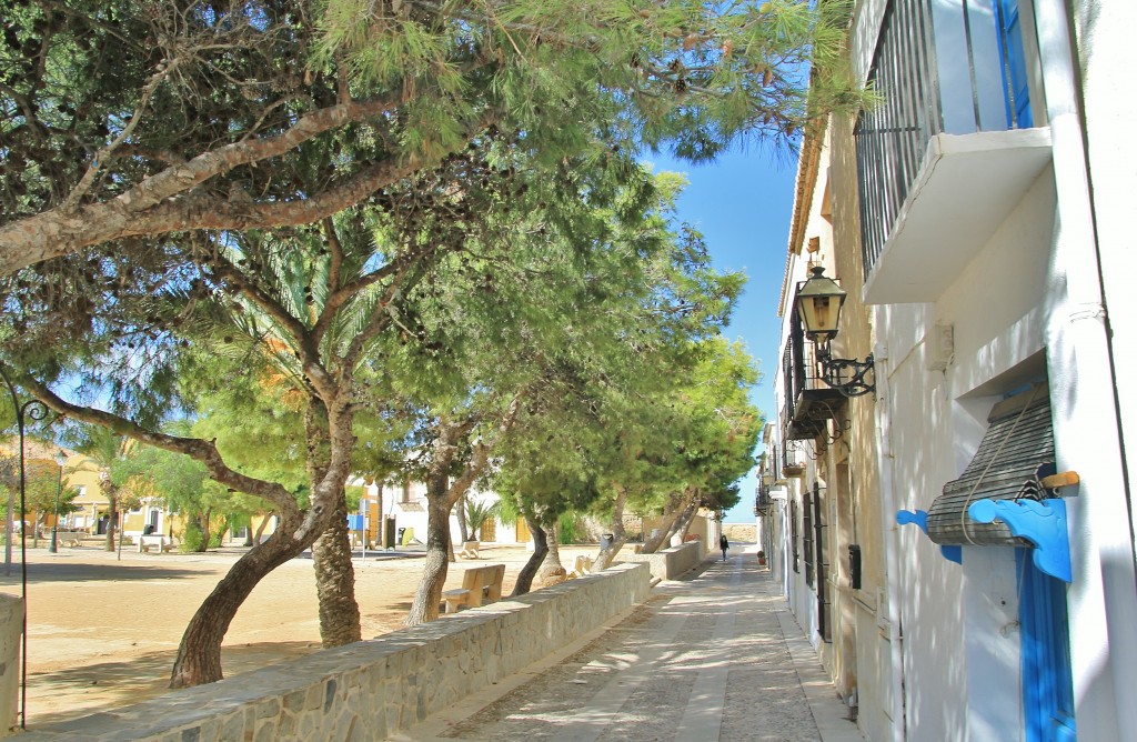 Foto: Vista de la Isla - Tabarca (Alicante), España