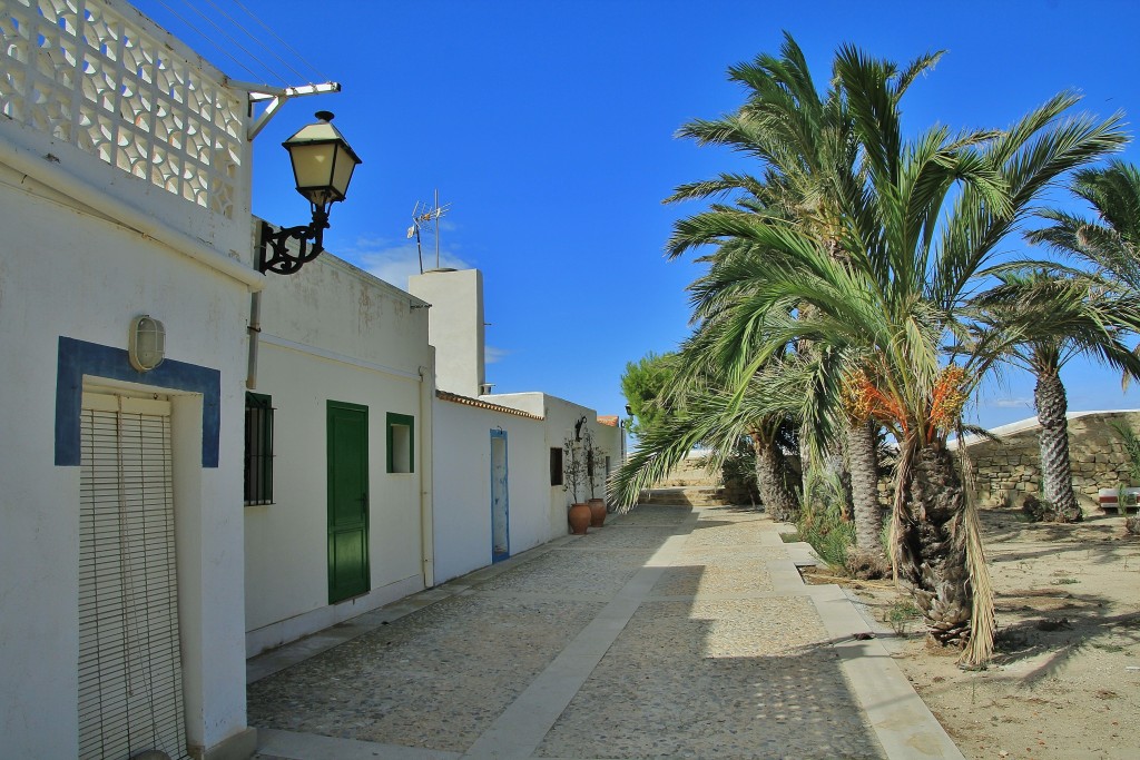 Foto: Vista de la Isla - Tabarca (Alicante), España