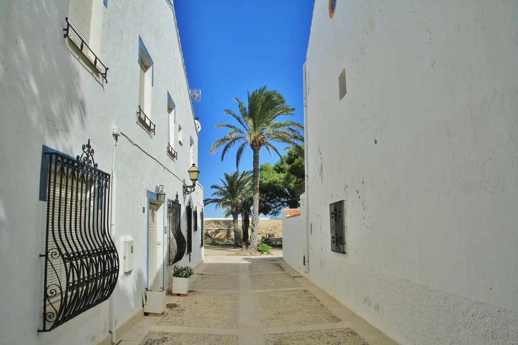 Foto: Vista de la Isla - Tabarca (Alicante), España