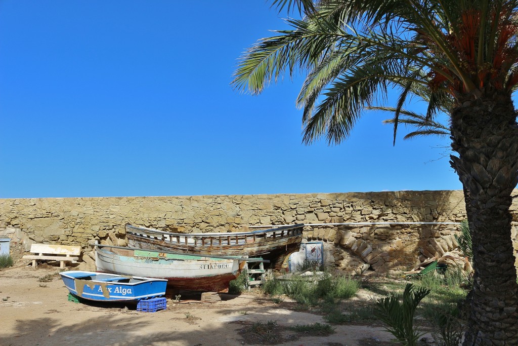 Foto: Vista de la Isla - Tabarca (Alicante), España