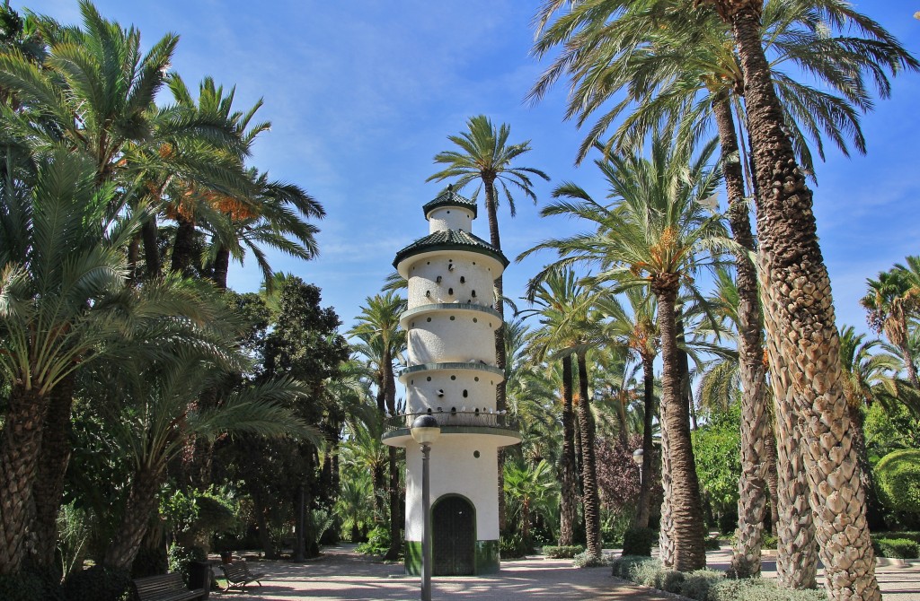 Foto: Palmeral - Elche (Alicante), España