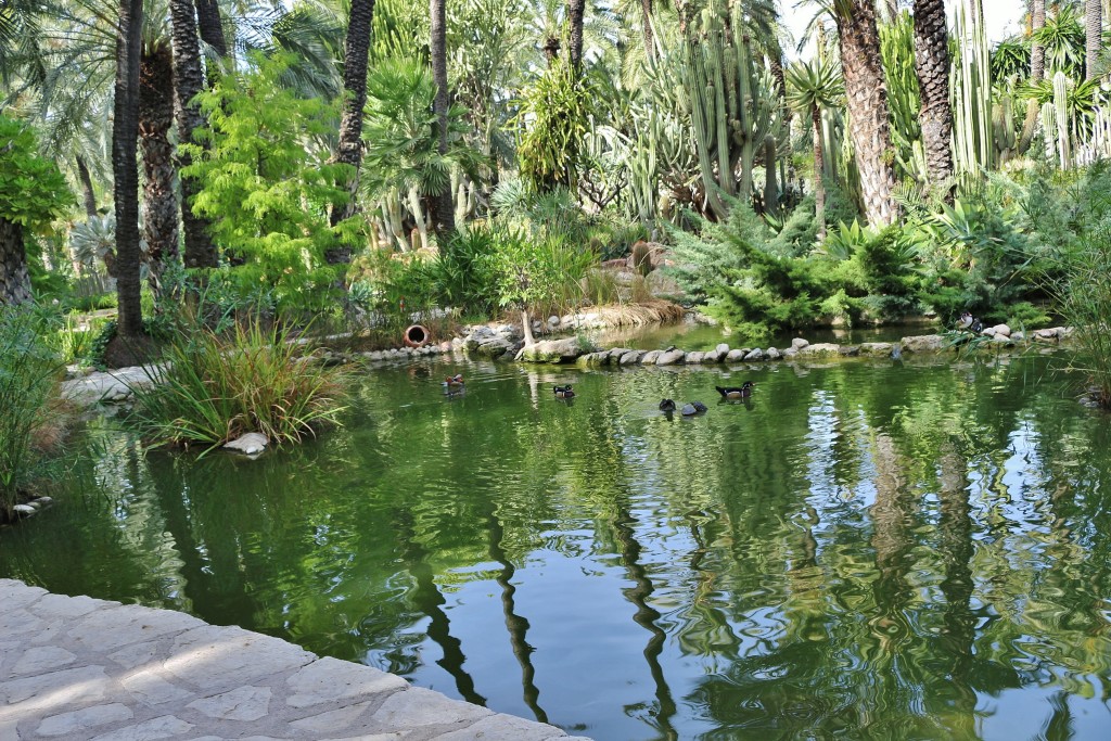 Foto: Jardín Huerto del Cura - Elche (Alicante), España
