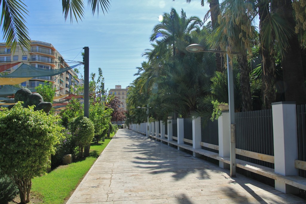 Foto: Palmeral - Elche (Alicante), España