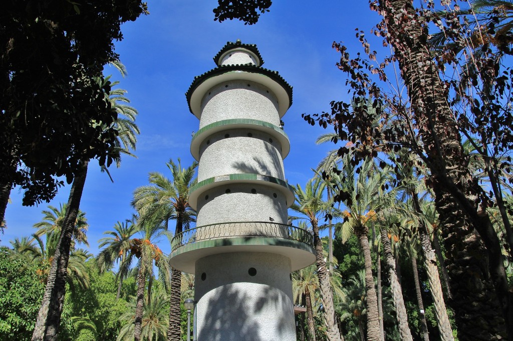 Foto: Palmeral - Elche (Alicante), España