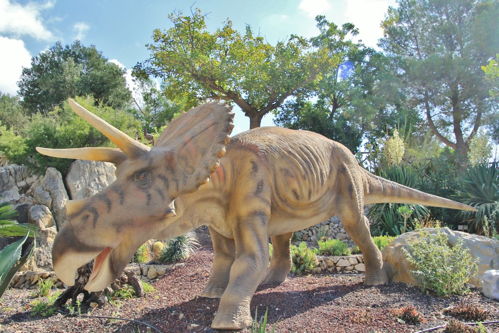 Foto: Dino Park - Callosa d`en Sarrià (Alicante), España