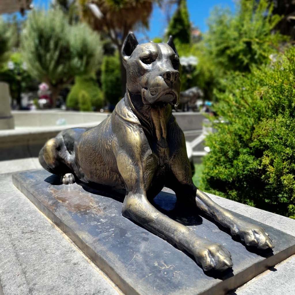 Foto: Guardián de la plaza - Ciudad de Oruro (Oruro), Bolivia