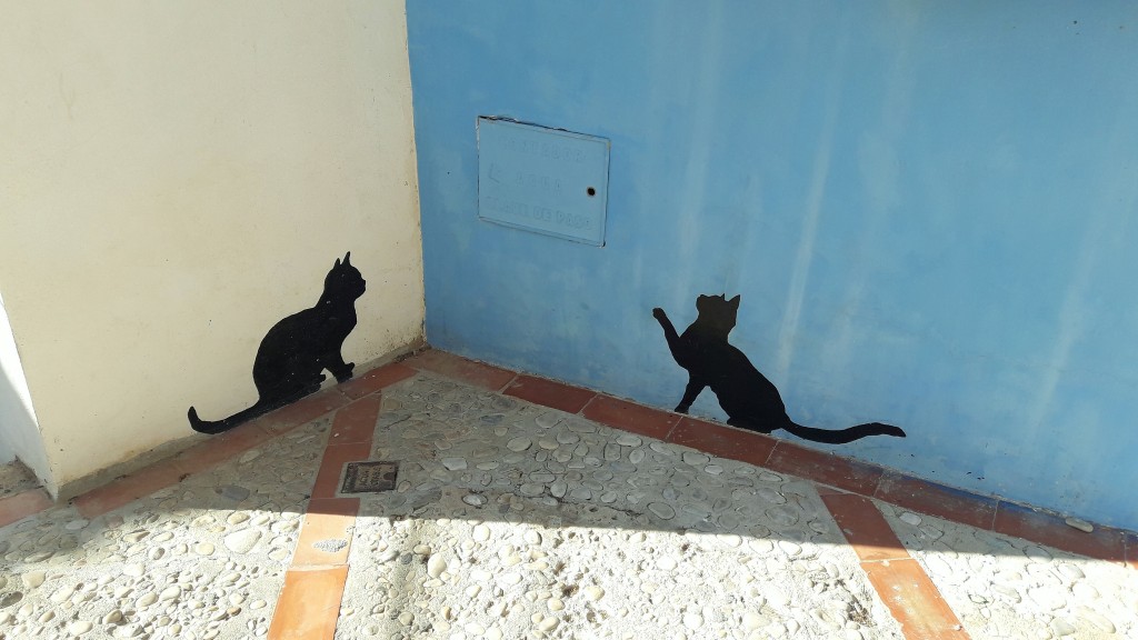 Foto: Gatitos?? - Denia (Alicante), España