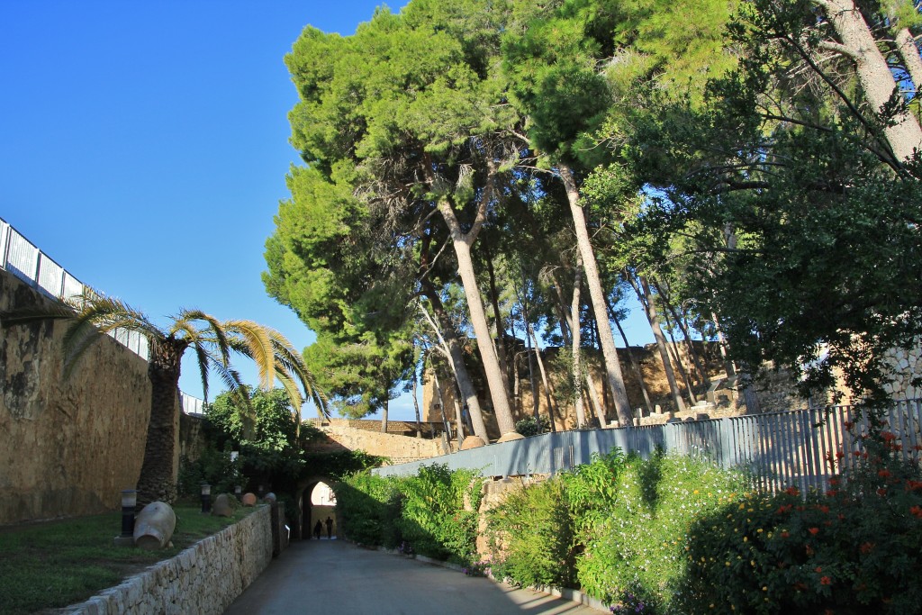 Foto: Castillo - Denia (Alicante), España