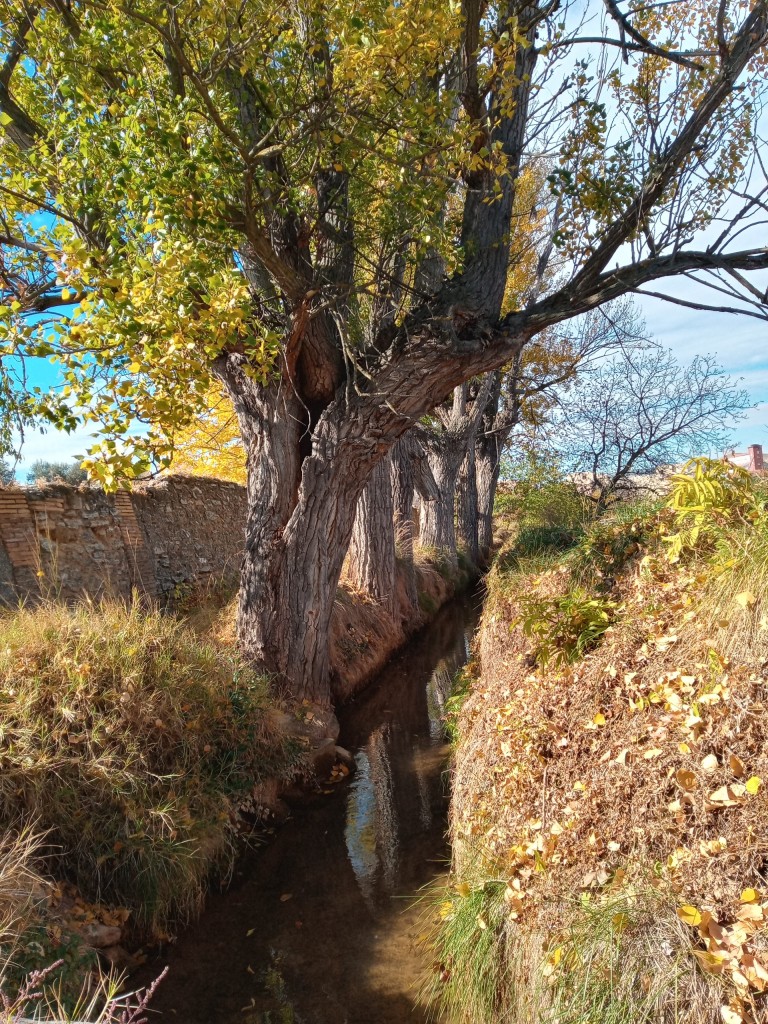 Foto: Pietas - Calatayud (Zaragoza), España