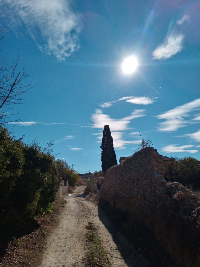 Foto: Valondillo - Calatayud (Zaragoza), España