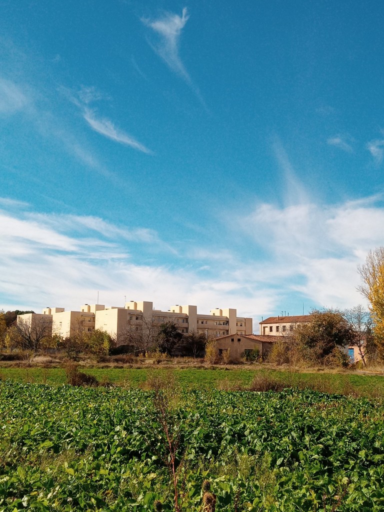 Foto: Camino de las Cruces - Calatayud (Zaragoza), España