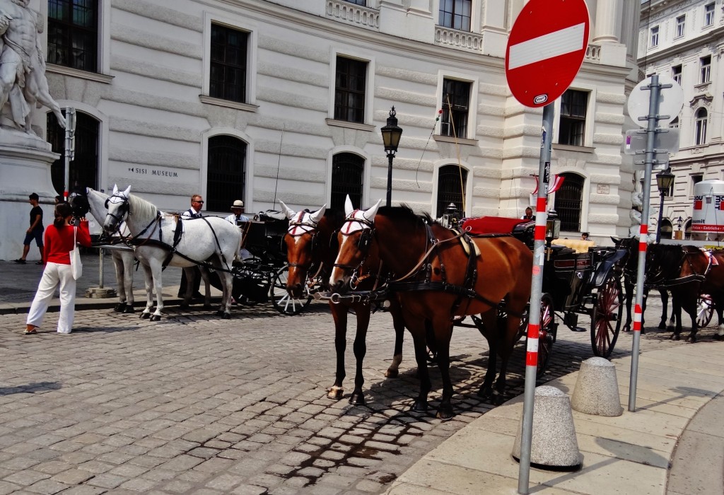 Foto: Michaelertrakt - Wien (Vienna), Austria