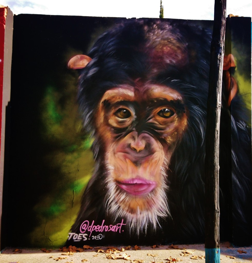 Foto: Graffiti Urbano - Barcelona (Cataluña), España