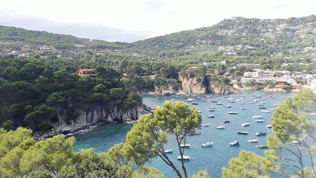 Foto: Cala de Aiguablava - Begur (Girona), España