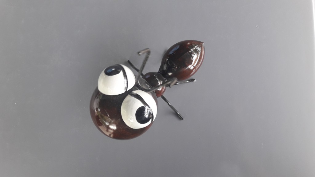 Foto: Hormiga - Besalú (Girona), España