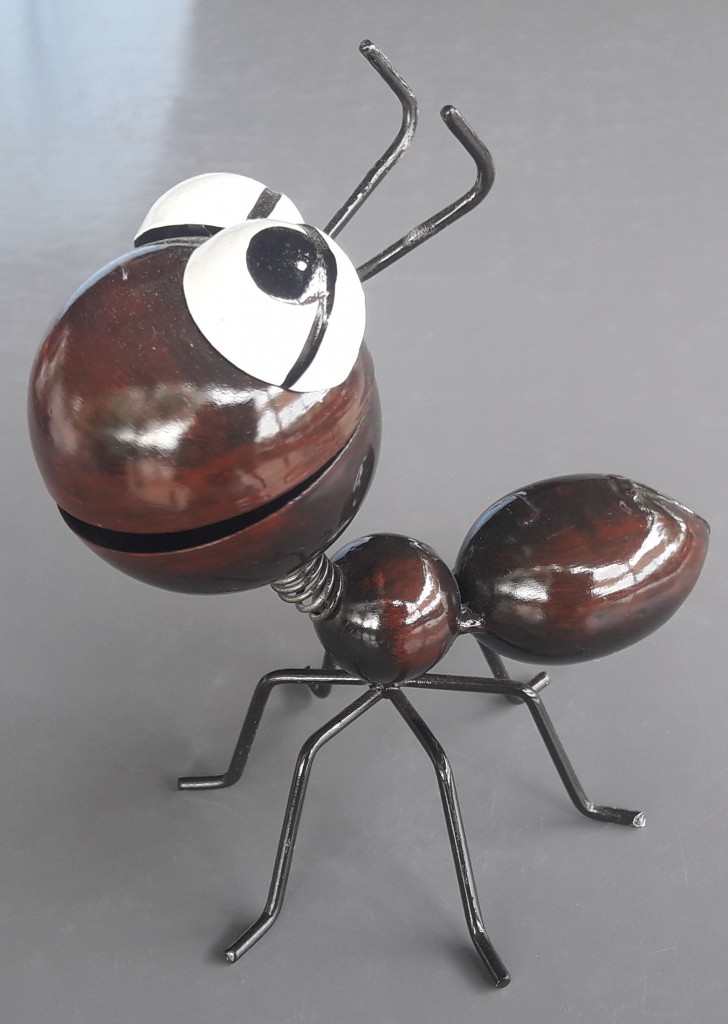 Foto: Hormiga - Besalú (Girona), España