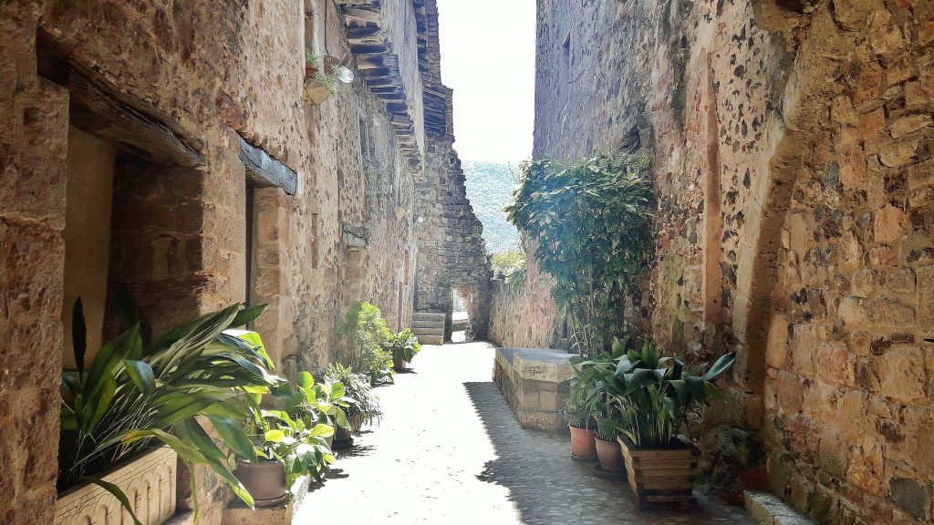 Foto: Centro histórico - Santa Pau (Girona), España