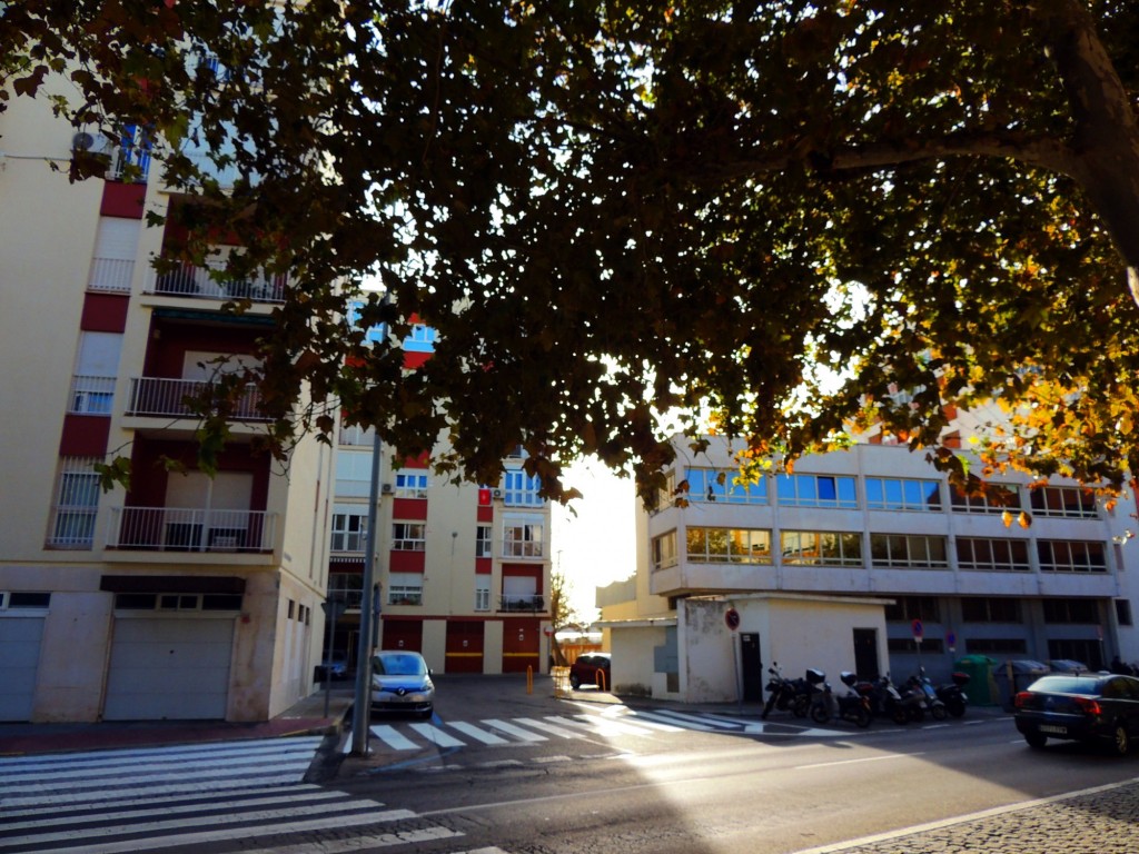 Foto: San Carlos - Cádiz (Andalucía), España