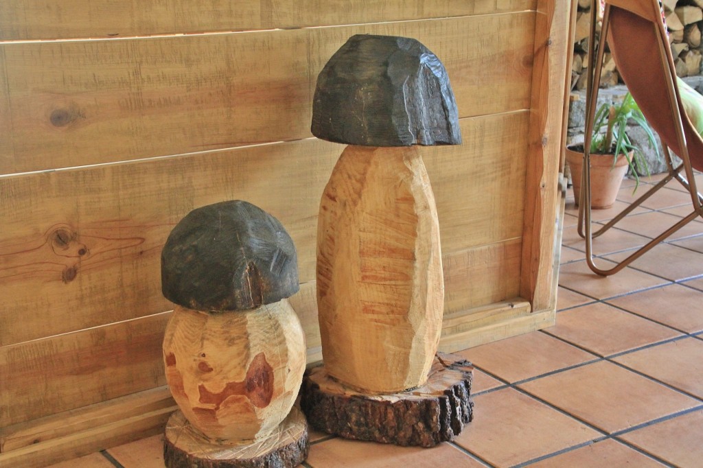 Foto: Detalle - Taüll (Cataluña), España