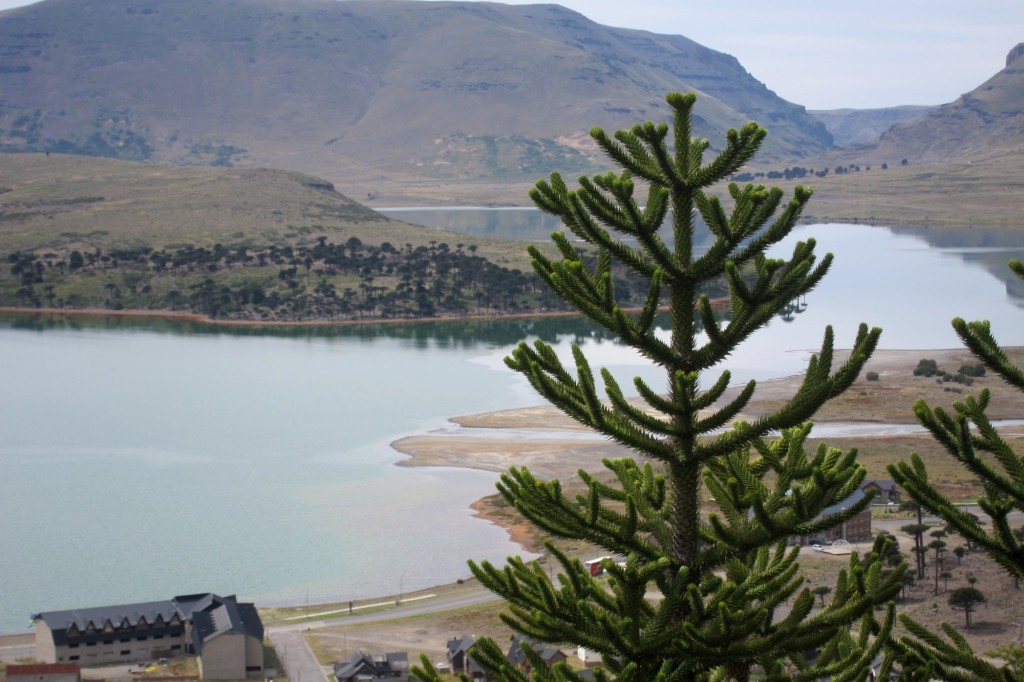 Foto: Vista de Caviahue. - Caviahue (Neuquén), Argentina