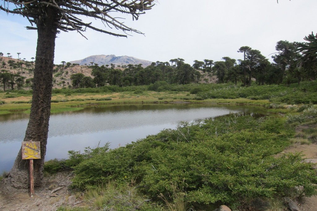 Foto: Lago Escondido. - Caviahue (Neuquén), Argentina