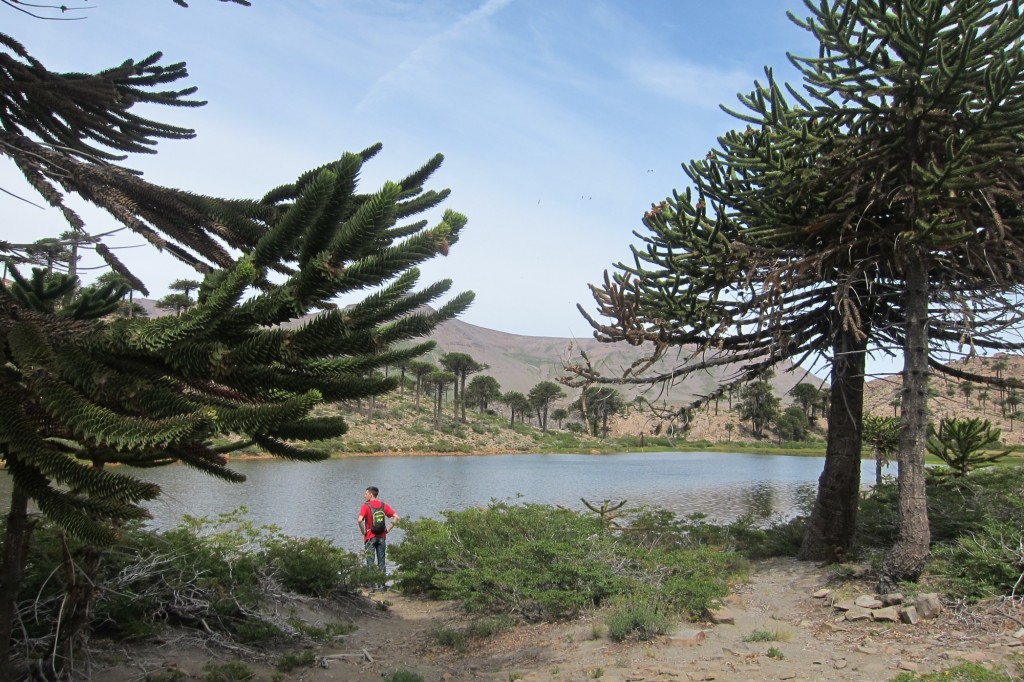 Foto: Lago Escondido. - Caviahue (Neuquén), Argentina