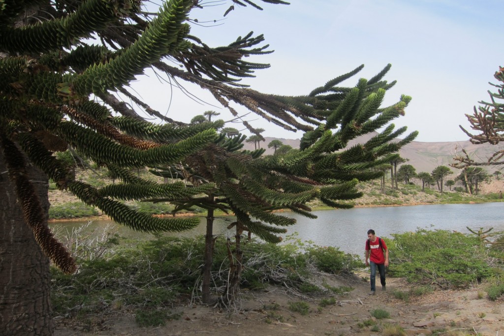 Foto: Lago Escondido. - Caviahue (Neuquén), Argentina