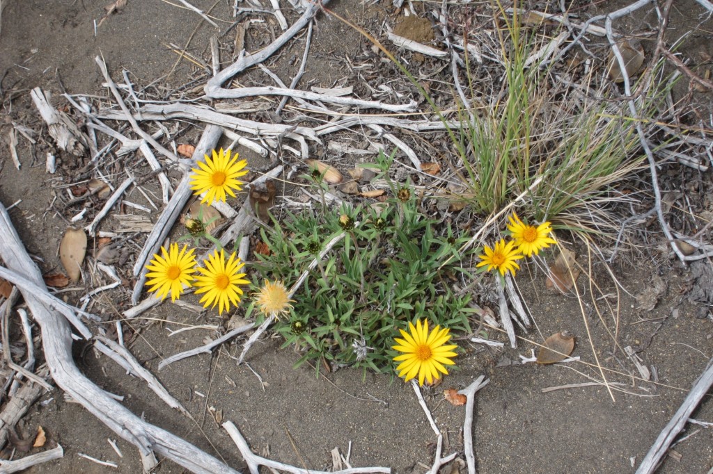 Foto: Lago Escondido. - Caviahue (Neuquén), Argentina