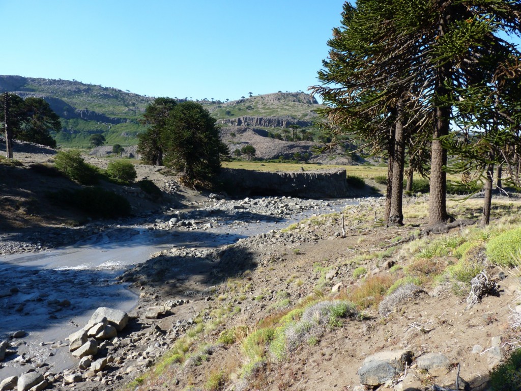 Foto: Río Agrio. - Caviahue (Neuquén), Argentina