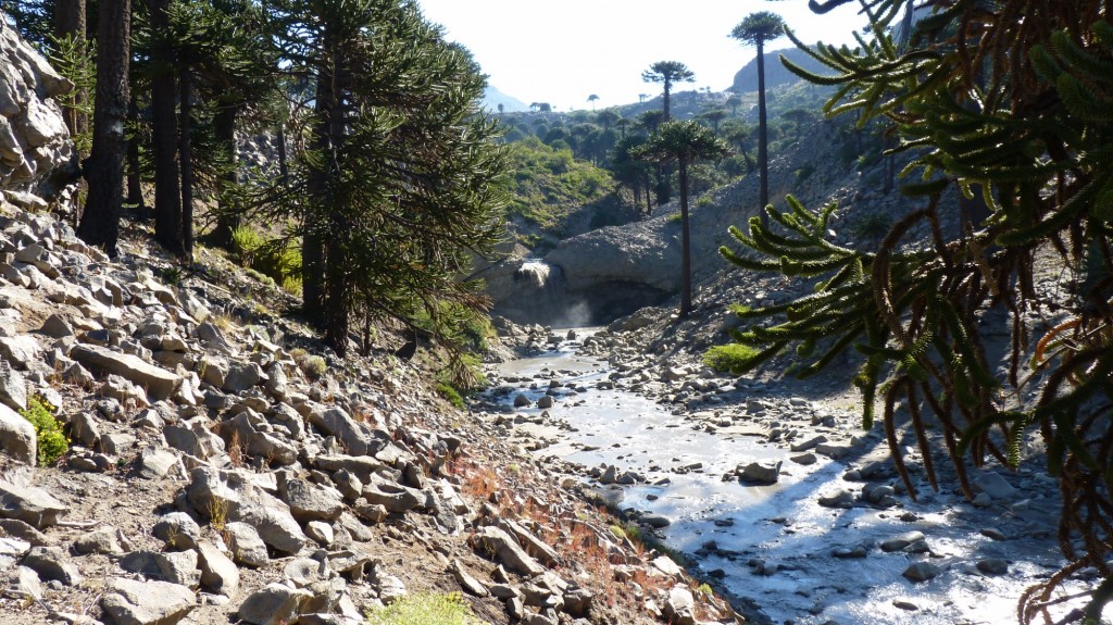 Foto: Río Agrio. - Caviahue (Neuquén), Argentina