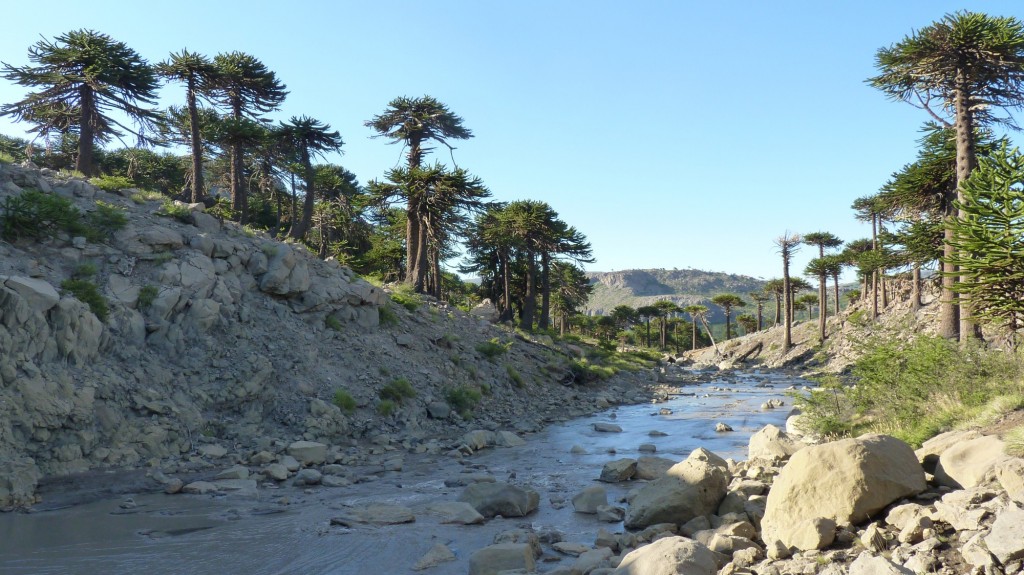 Foto: Río Agrio. - Caviahue (Neuquén), Argentina