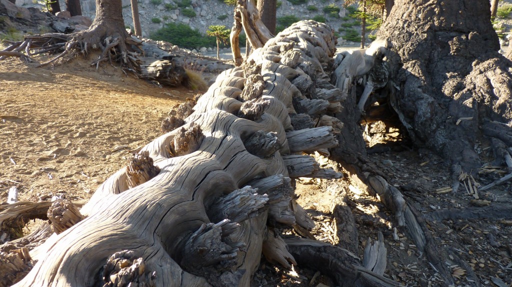 Foto: Río Agrio. - Caviahue (Neuquén), Argentina