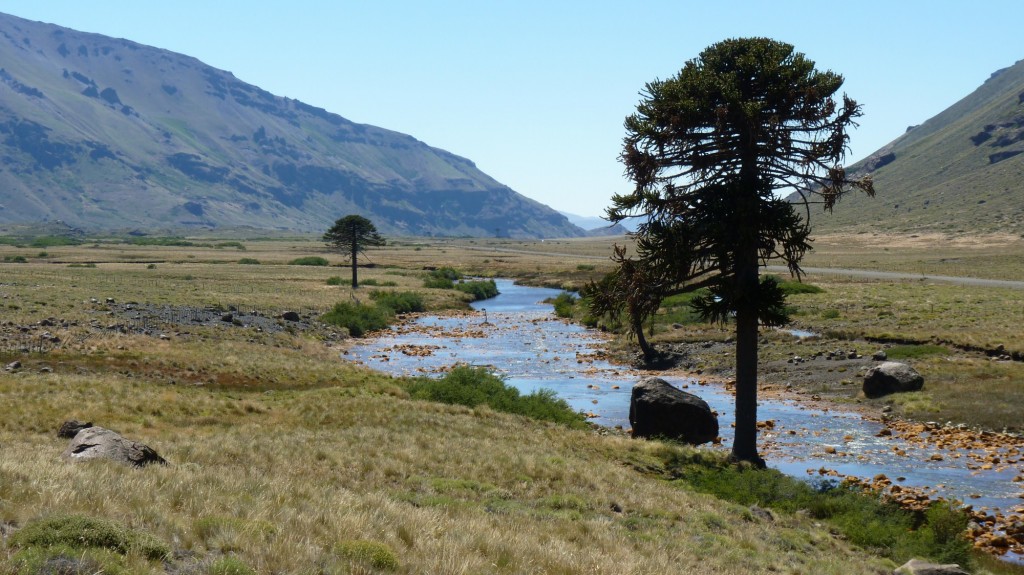 Foto: Río Agrio. - Caviahue (Neuquén), Argentina