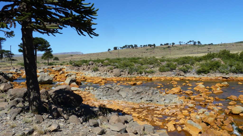 Foto: Río Agrio - Caviahue (Neuquén), Argentina