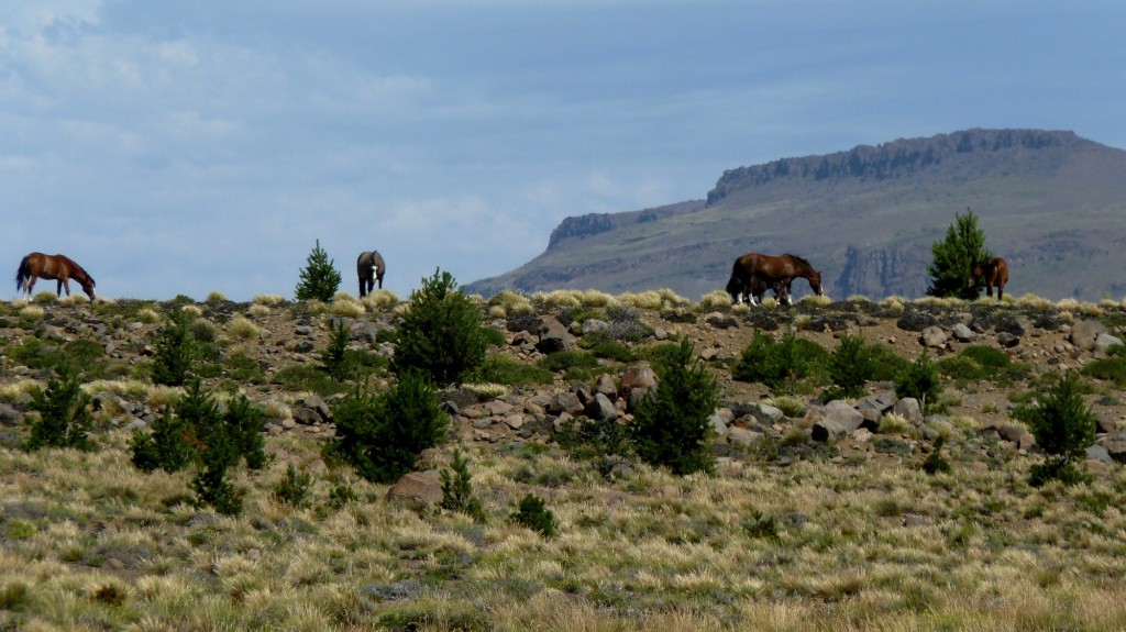 Foto: Río Agrio - Caviahue (Neuquén), Argentina