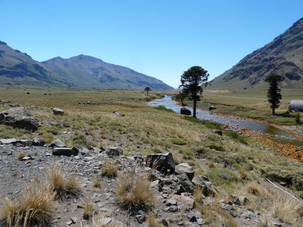 Foto: Río Agrio. - Caviahue (Neuquén), Argentina