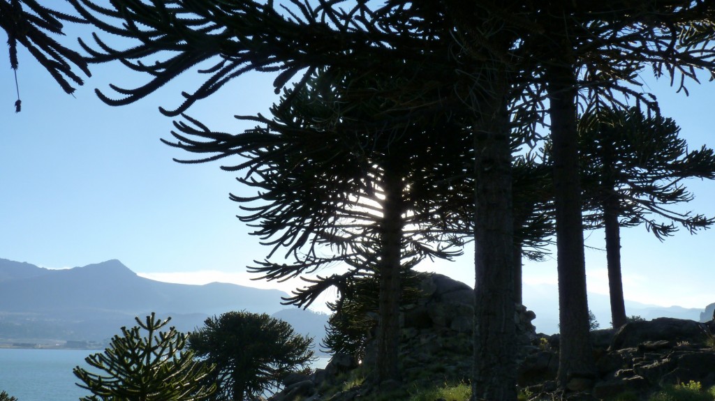 Foto: Mirador - Caviahue (Neuquén), Argentina