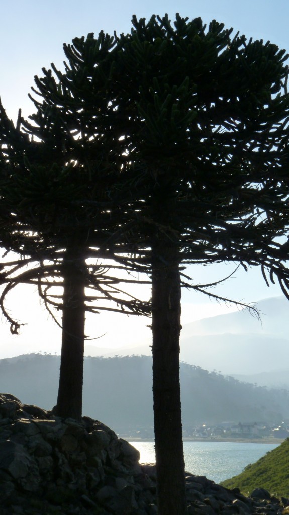 Foto: Mirador - Caviahue (Neuquén), Argentina