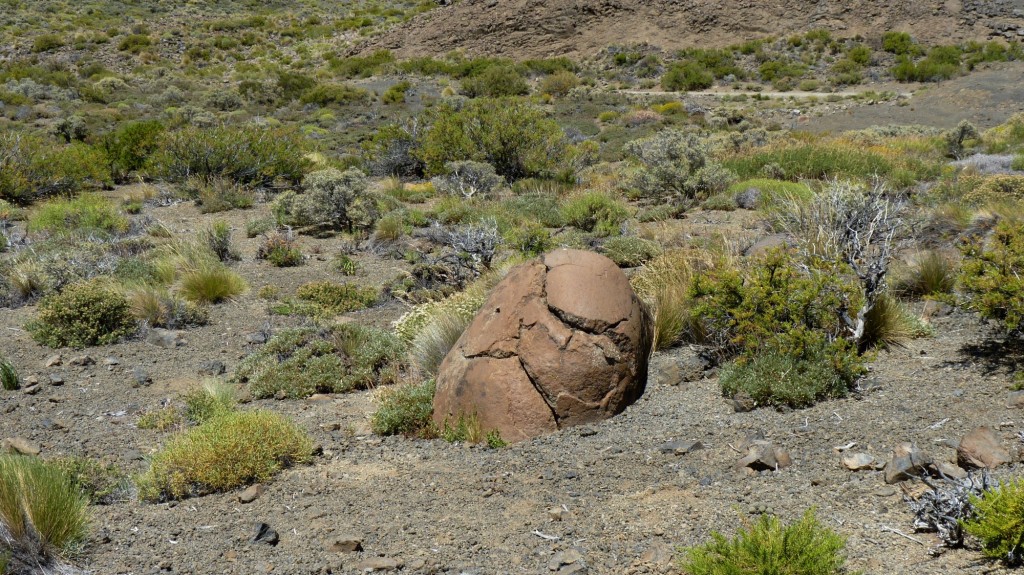 Foto: Río Agrio - Caviahue (Neuquén), Argentina