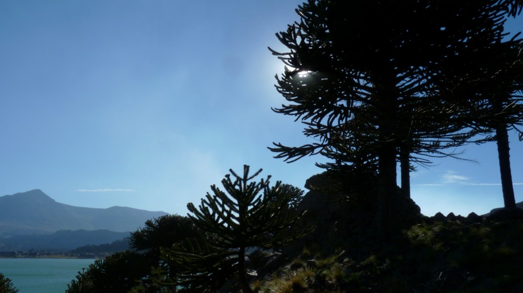 Foto: Mirador - Caviahue (Neuquén), Argentina